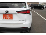 LEXUS NX300