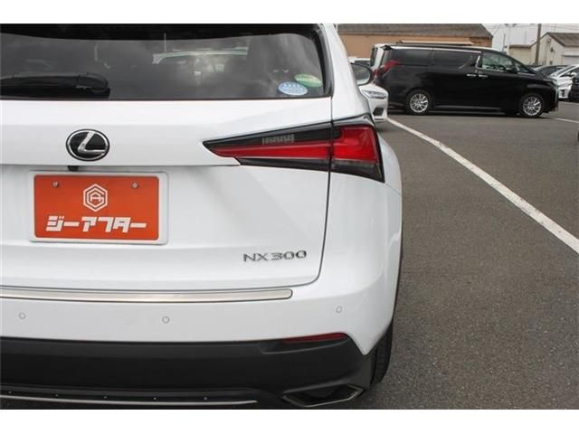 LEXUS NX300