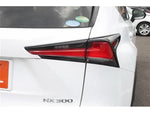 LEXUS NX300