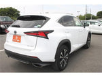 LEXUS NX300