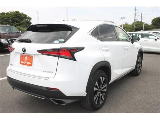 LEXUS NX300