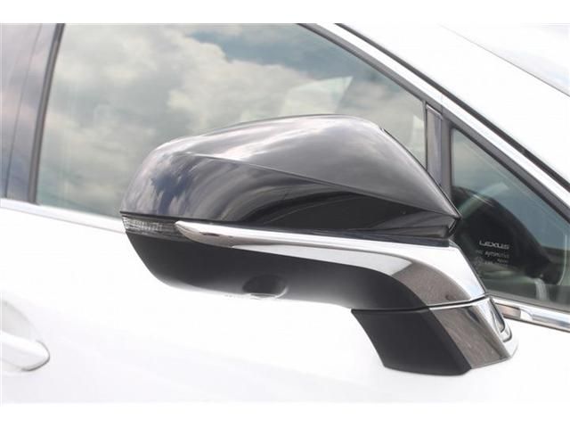 LEXUS NX300