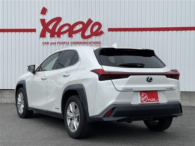 LEXUS UX250h
