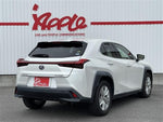 LEXUS UX250h