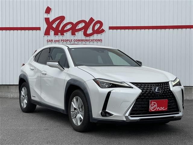 LEXUS UX250h