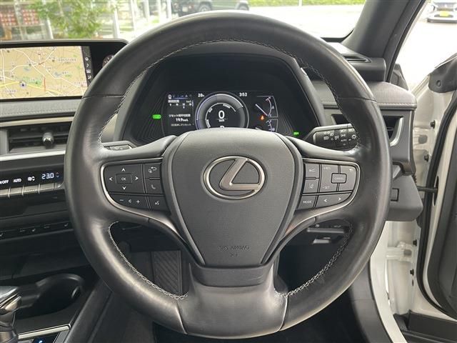 LEXUS UX250h