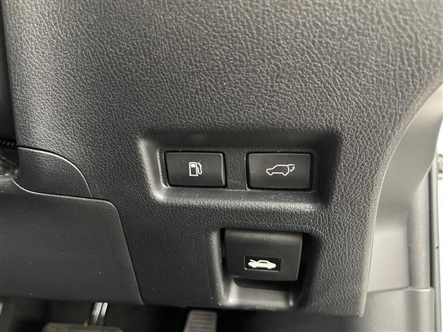 LEXUS UX250h