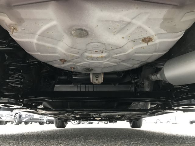 COROLLA RUMION