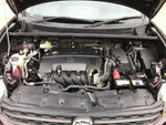 COROLLA RUMION