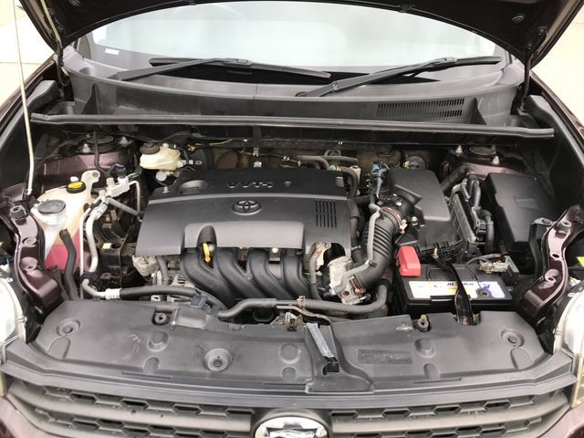 COROLLA RUMION