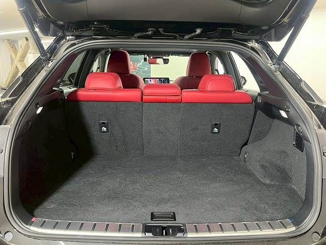 LEXUS RX300