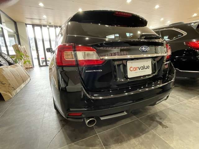 LEVORG