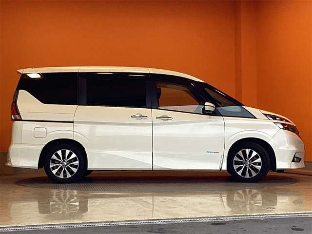 SERENA  S-HYBRID