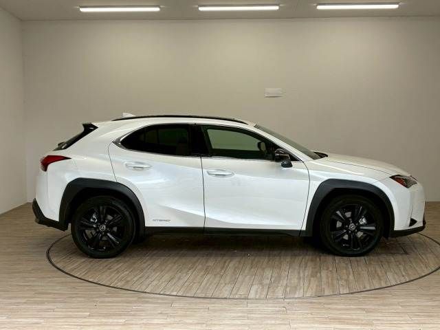 LEXUS UX250h