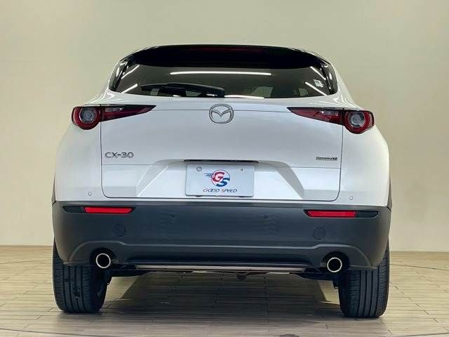 CX-30