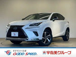 LEXUS NX300h