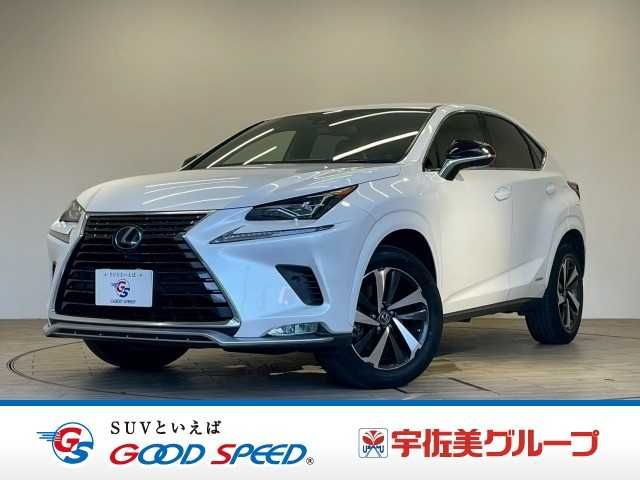LEXUS NX300h