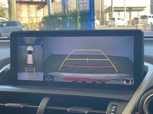 LEXUS NX300h