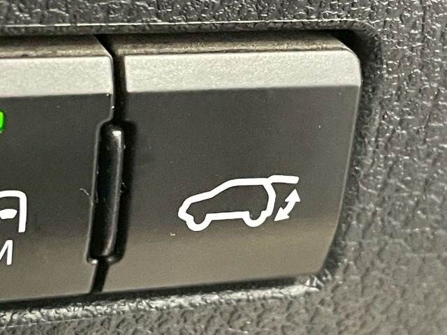 LEXUS NX300h