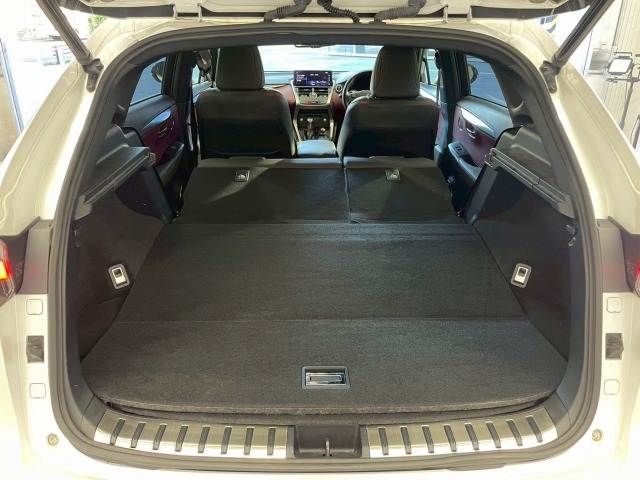 LEXUS NX300h