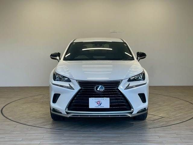 LEXUS NX300h