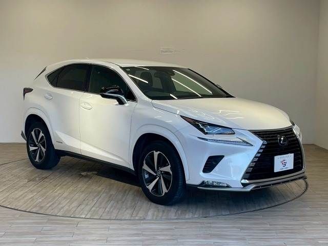 LEXUS NX300h