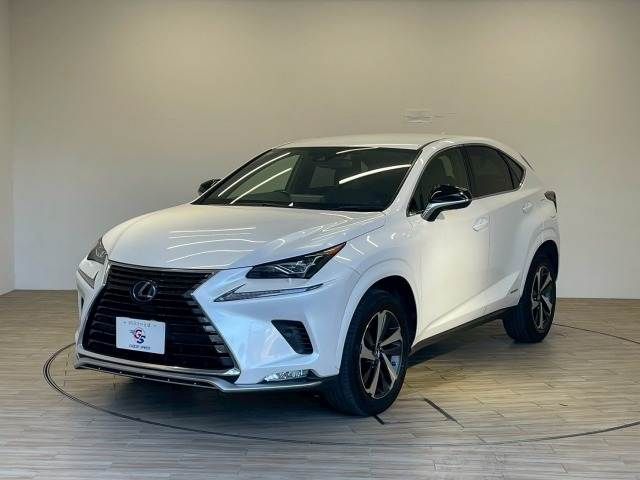 LEXUS NX300h