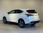 LEXUS NX300h