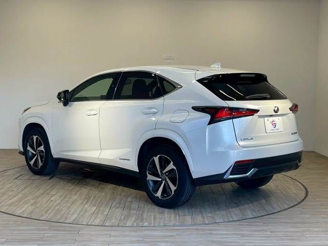 LEXUS NX300h