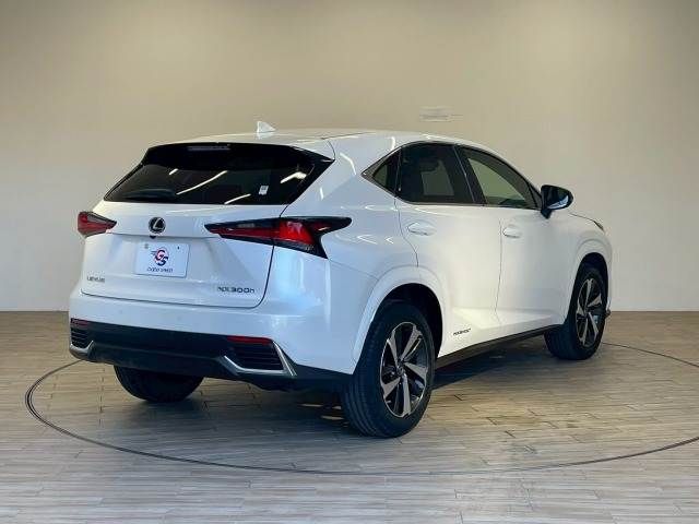 LEXUS NX300h