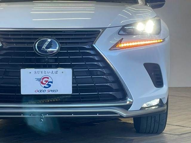 LEXUS NX300h