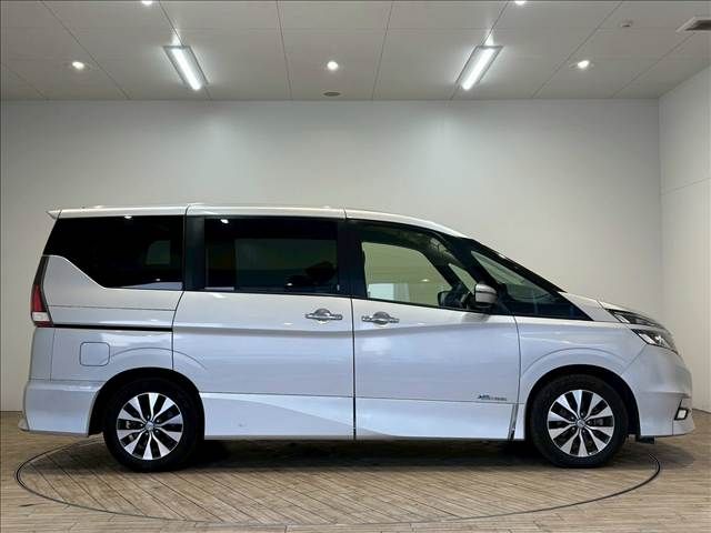 SERENA  S-HYBRID