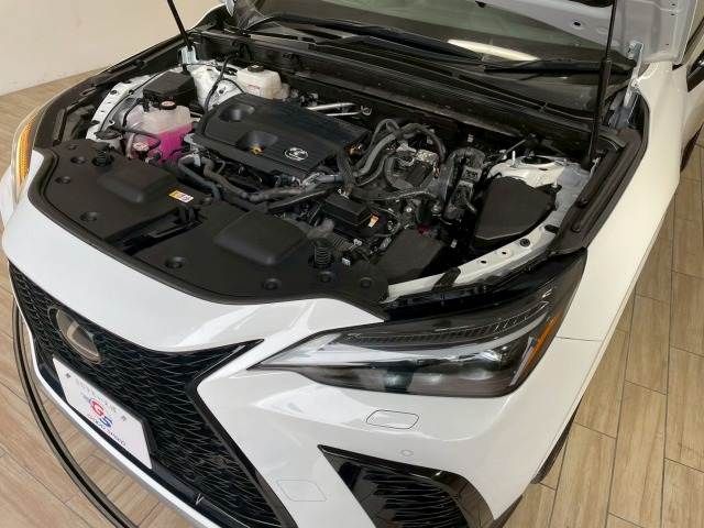 LEXUS NX350h