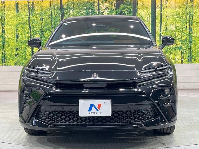 CROWN SPORT