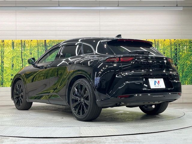 CROWN SPORT