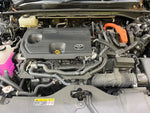 CROWN SPORT