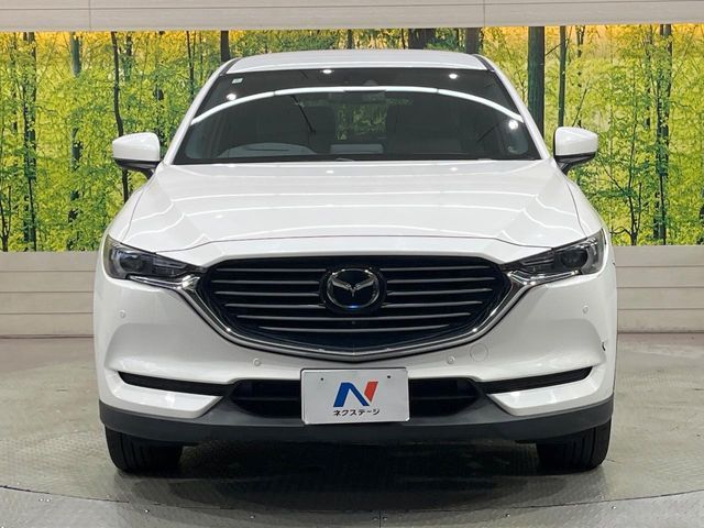 CX-8