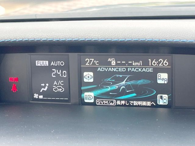 LEVORG
