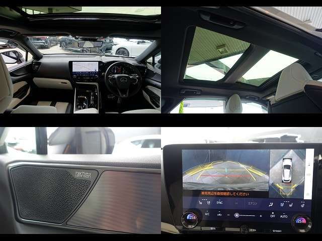 LEXUS NX350h AWD