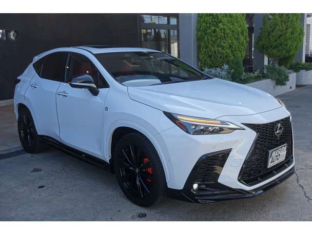 LEXUS NX450h+ AWD