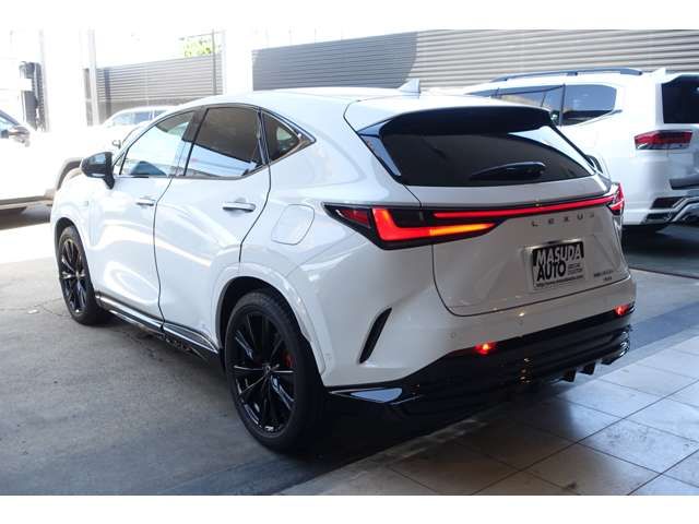 LEXUS NX450h+ AWD