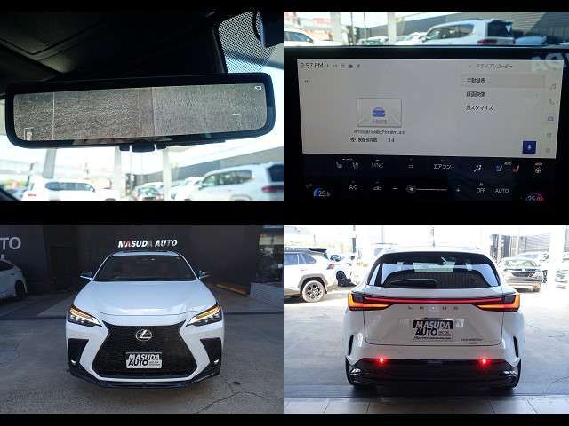 LEXUS NX450h+ AWD