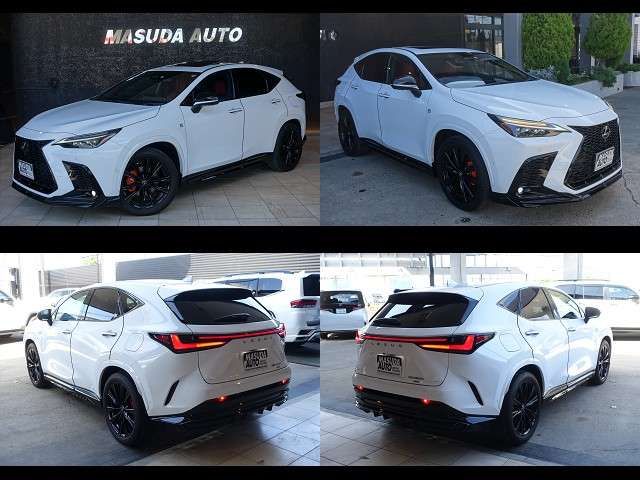 LEXUS NX450h+ AWD
