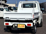 CARRY truck 4WD