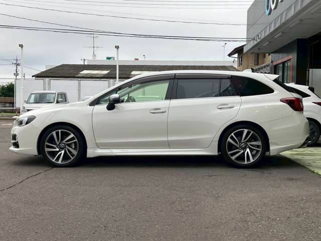LEVORG