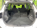 RAIZE HYBRID