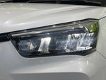 RAIZE HYBRID