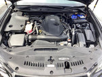 CROWN sedan