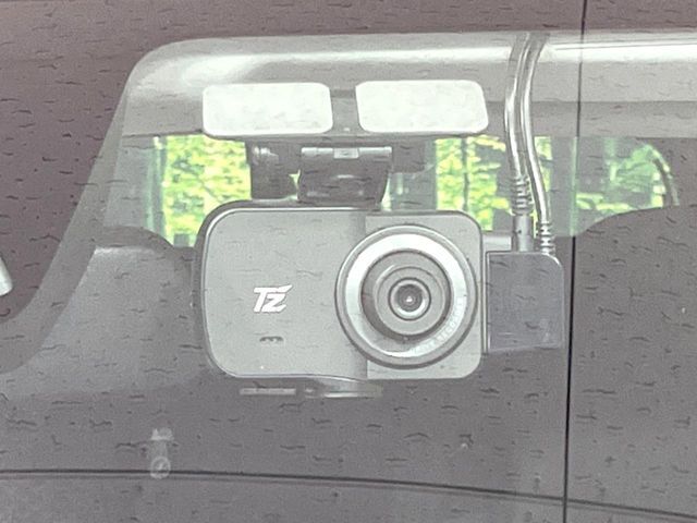 RAIZE HYBRID