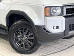 LANDCRUISER 250
